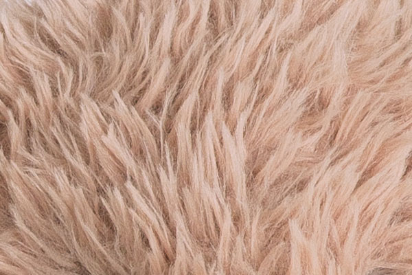 Aclose up image of the An image of the World's Softest Bunny fur