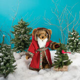 15" Limited Edition Woodland Santa Bear image number 0