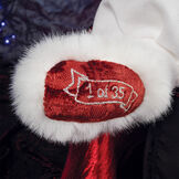 15" Limited Edition Count Dracula Vampire Bear - Close up of red brocade paw pad with silver edition number embroidery, example 1 of 35 image number 7